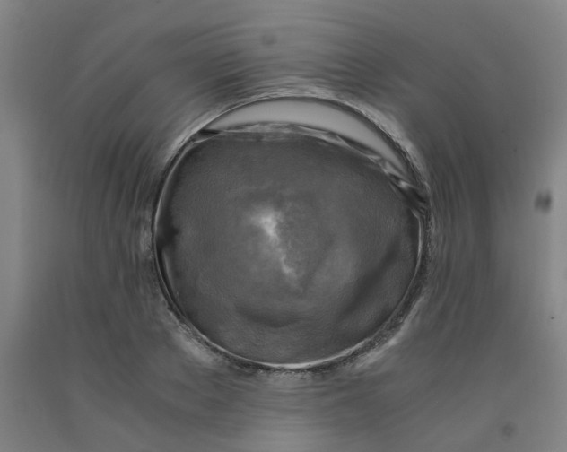 X0000091980889200709271425