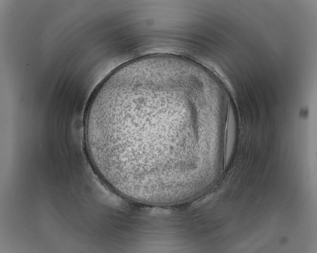 X0000091980890200709271425