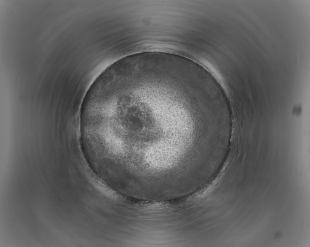 X0000091980891200709271425