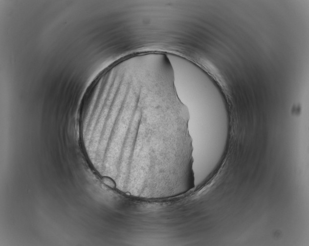 X0000091980892200709271425
