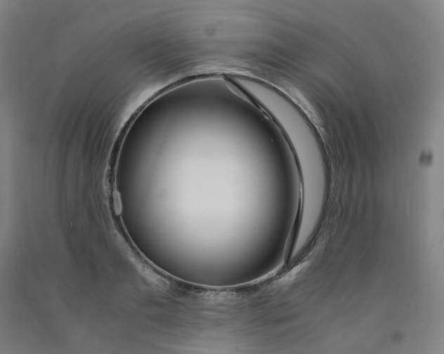 X0000091980893200709271425
