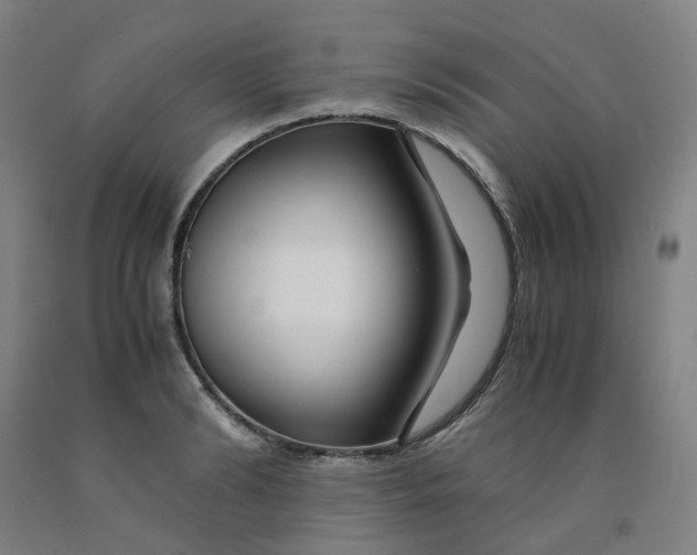 X0000091980894200709271425