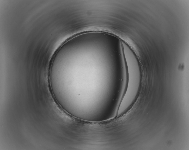 X0000091980896200709271424