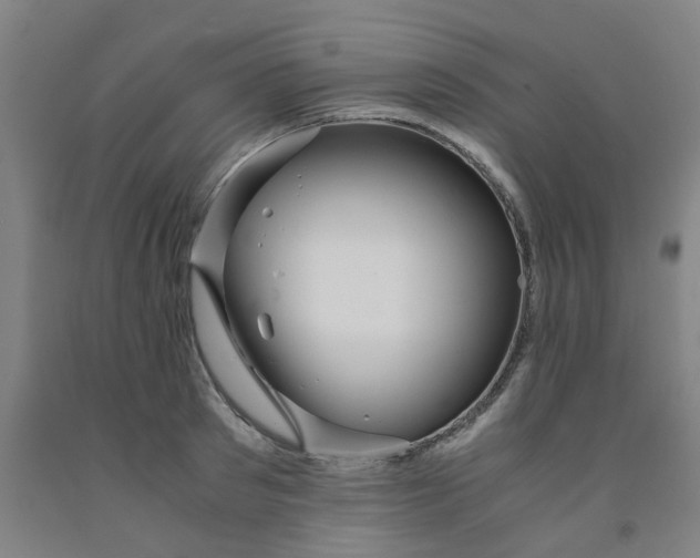 X0000091980897200709271424