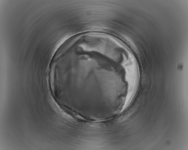 X0000091980899200709271424