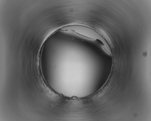X0000091980900200709271424