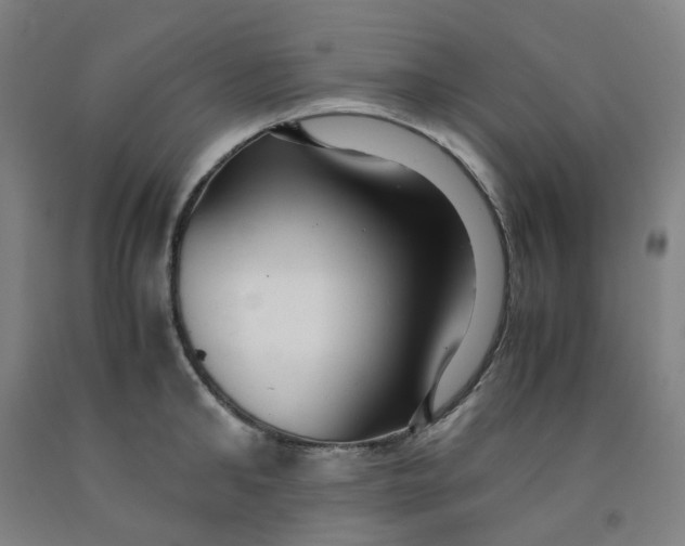 X0000091980902200709271424