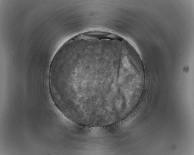 X0000091980903200709271424