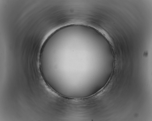 X0000091980904200709271424