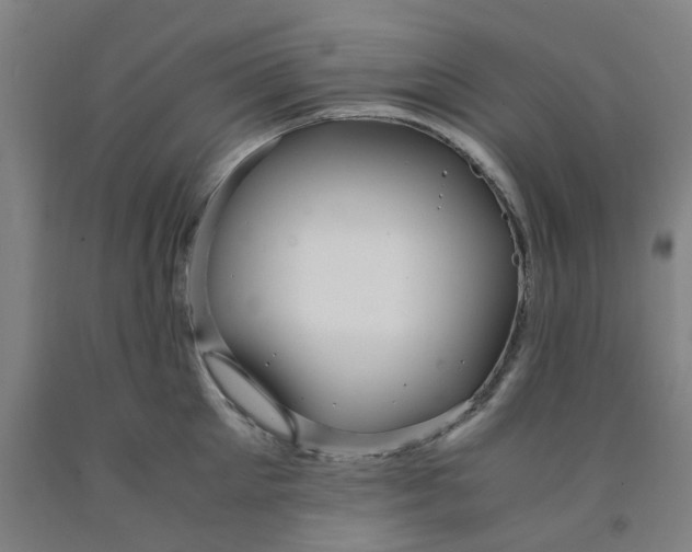X0000091980905200709271424