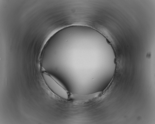 X0000091980908200709271424