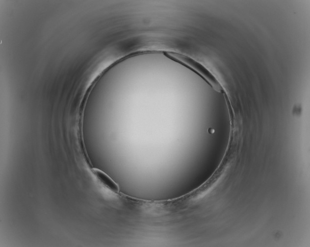X0000091980909200709271424