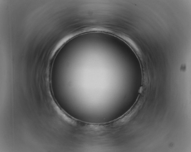 X0000091980910200709271424