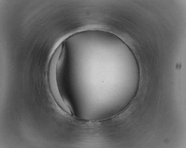 X0000091980912200709271424