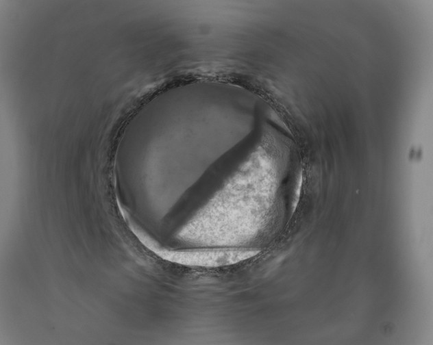 X0000091980913200709271424