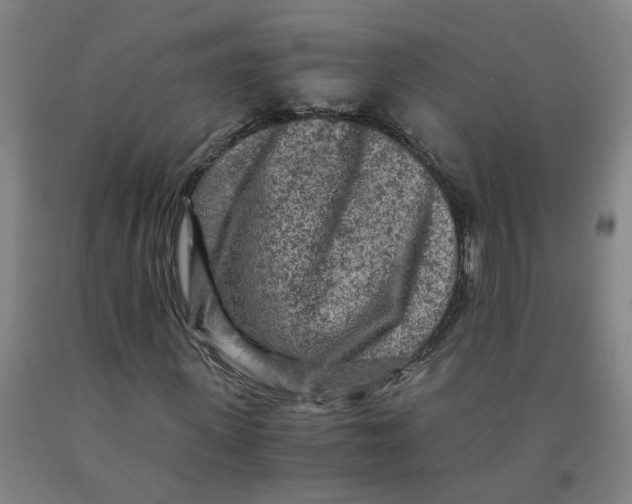 X0000091980915200709271424
