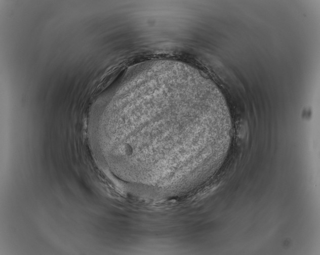 X0000091980916200709271424
