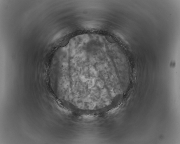 X0000091980917200709271424