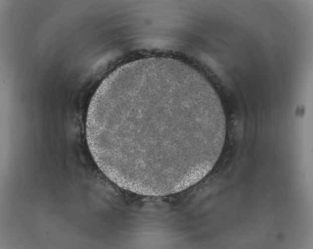 X0000091980918200709271424