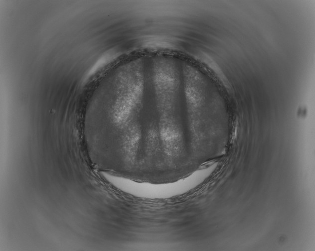X0000091980919200709271424