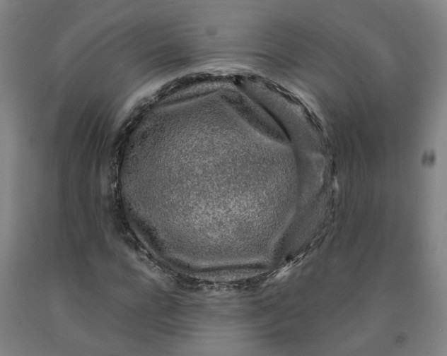 X0000091980920200709271424