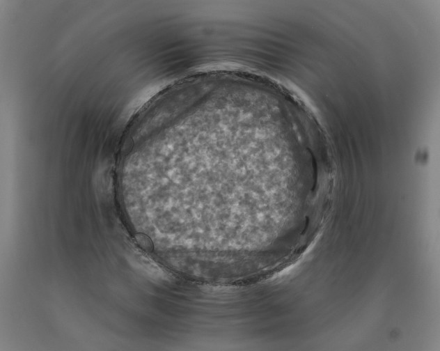 X0000091980921200709271424