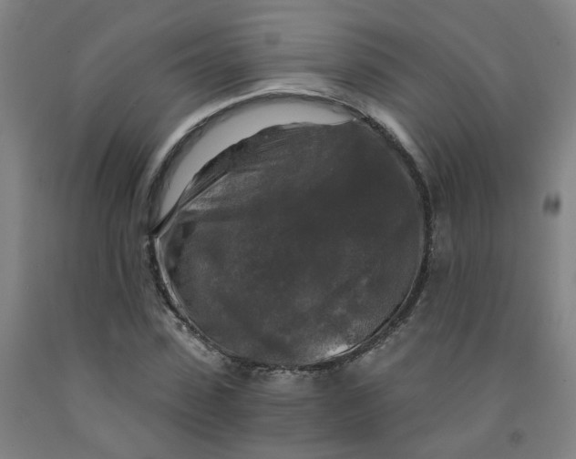 X0000091980923200709271424