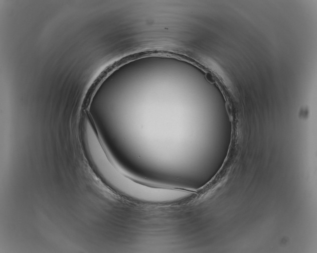 X0000091980924200709271424