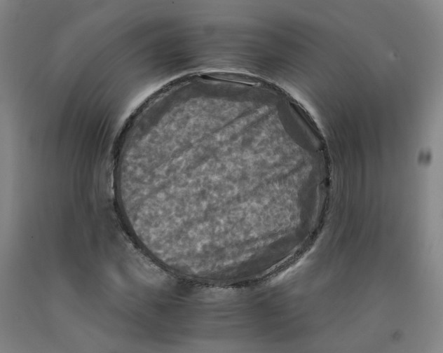 X0000091980925200709271424