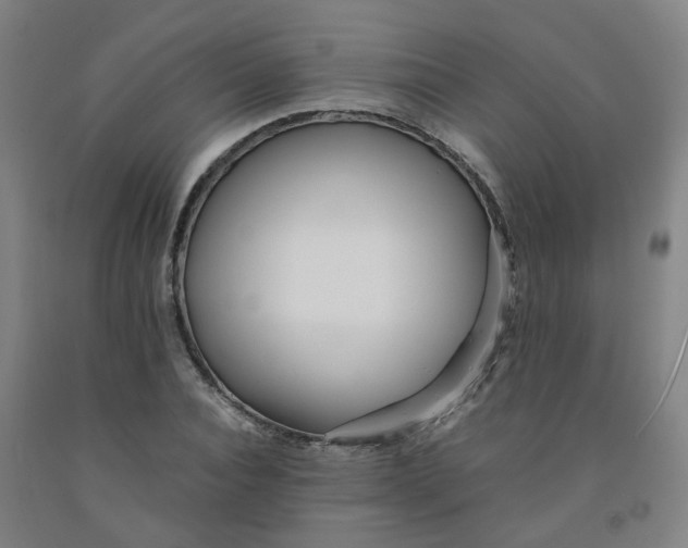 X0000091980928200709271424