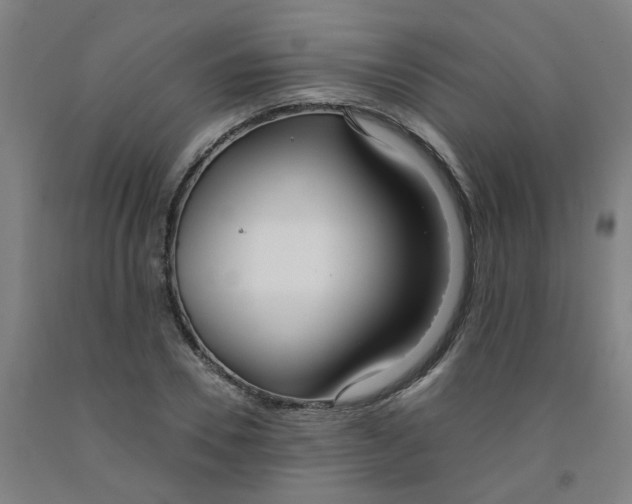 X0000091980930200709271424