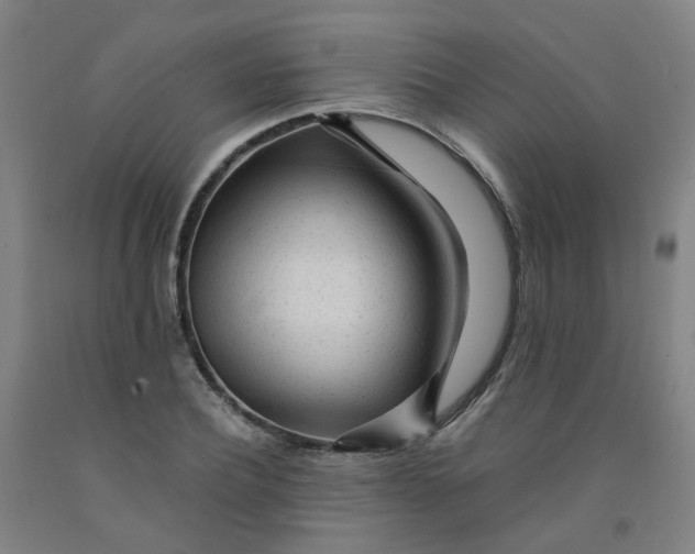 X0000091980932200709271424