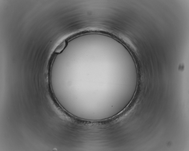 X0000091980934200709271424