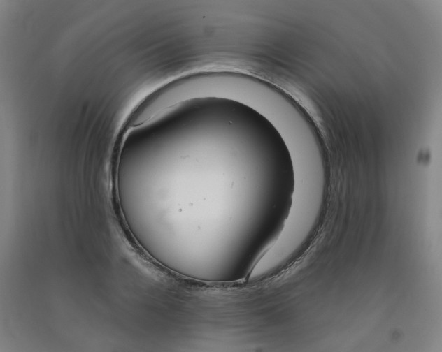 X0000091980936200709271424