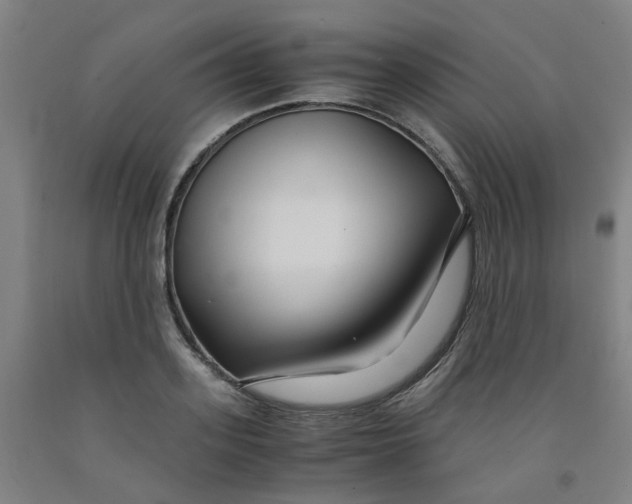 X0000091980939200709271424