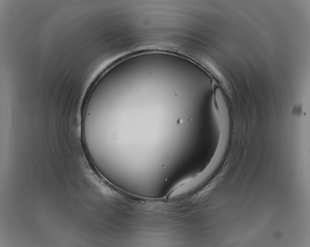 X0000091980940200709271424