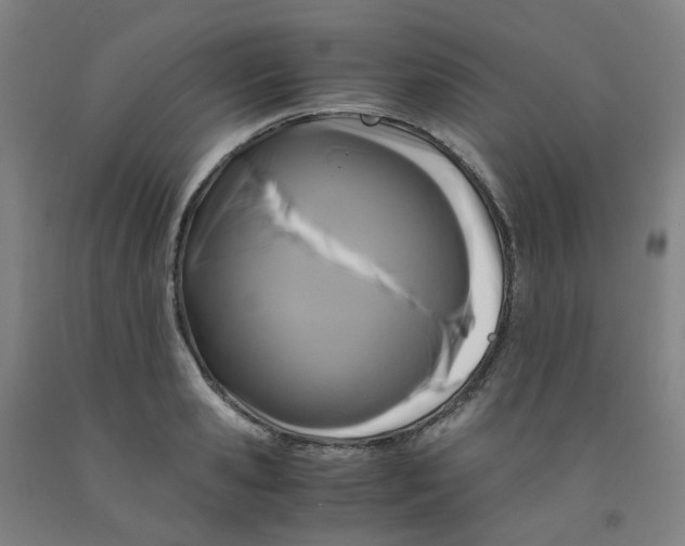 X0000091980941200709271424