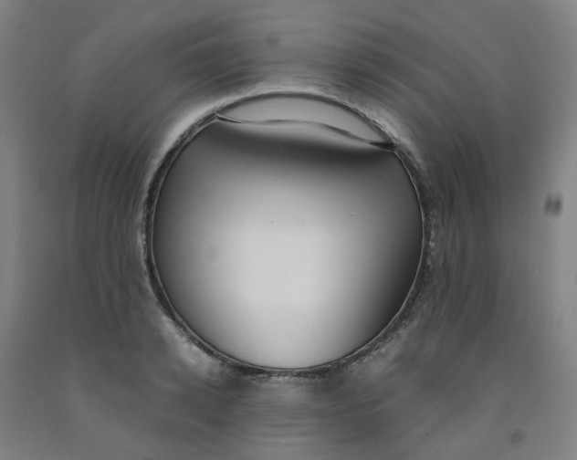 X0000091980942200709271424