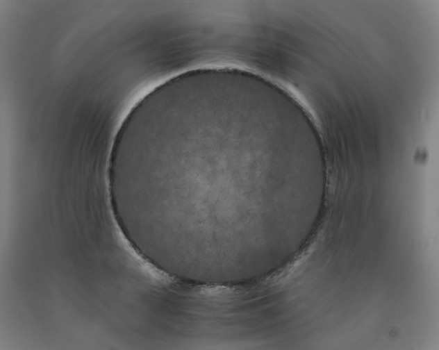 X0000091980943200709271424