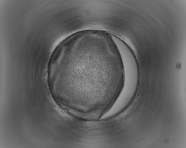 X0000091980944200709271424