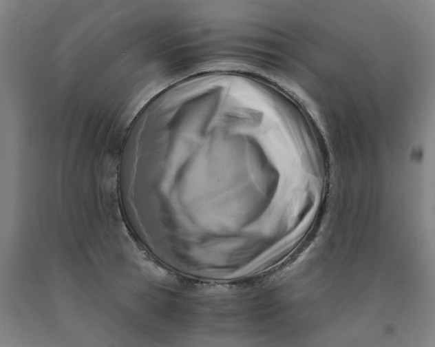 X0000091980945200709271424