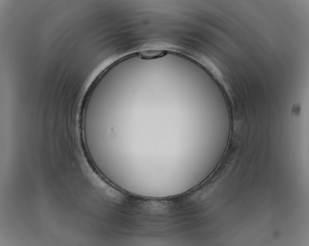 X0000091980947200709271424