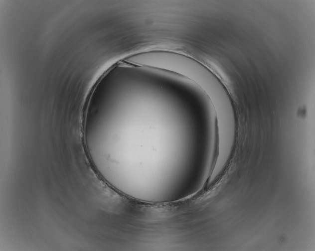 X0000091980948200709271424