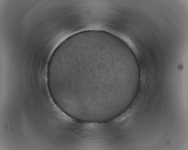 X0000091980950200709271424