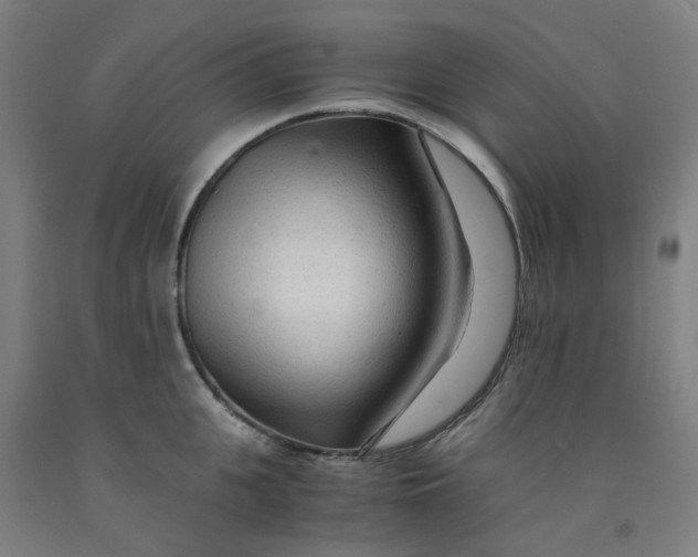 X0000091980951200709271424
