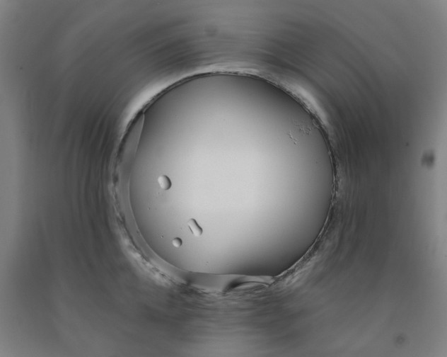 X0000091980952200709271424