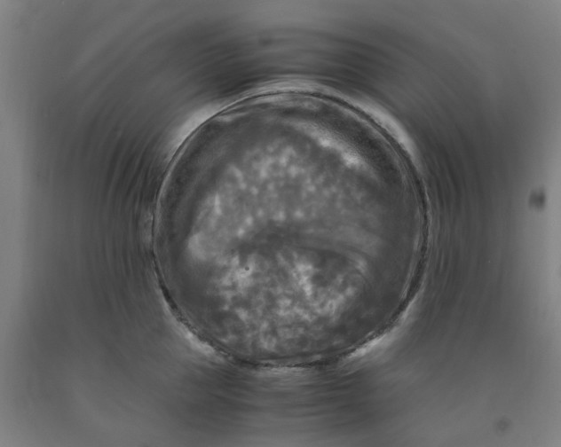 X0000091980953200709271424