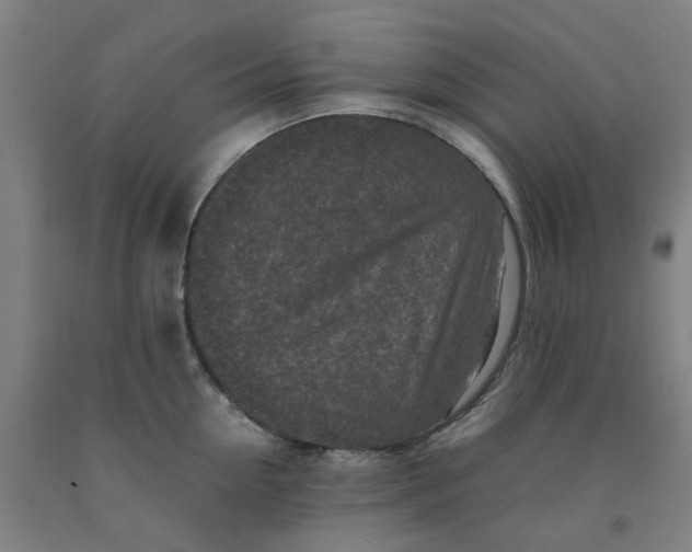 X0000091980954200709271424