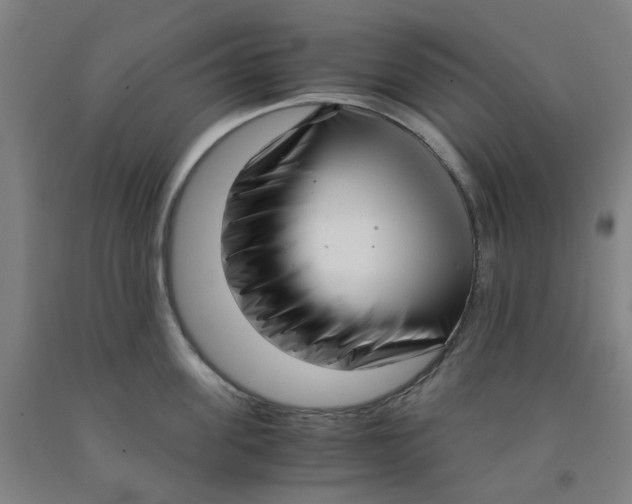 X0000091980955200709271424