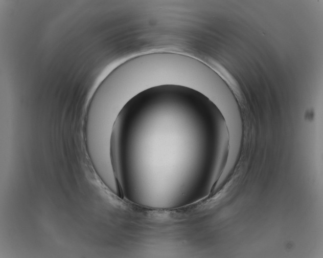 X0000091980956200709271424